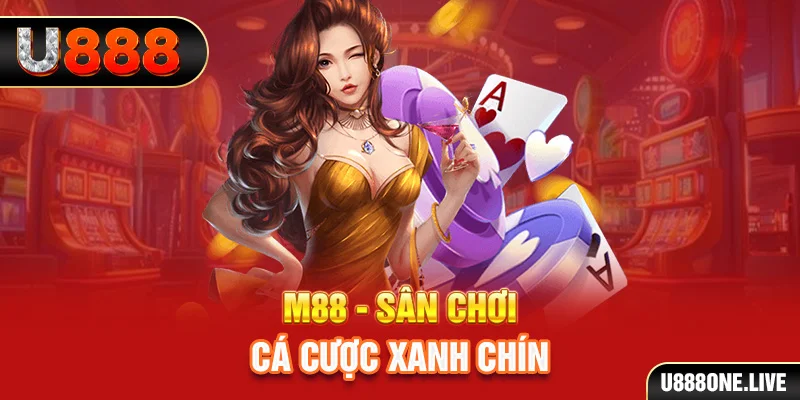 kubet link gà chọi cậu thanh