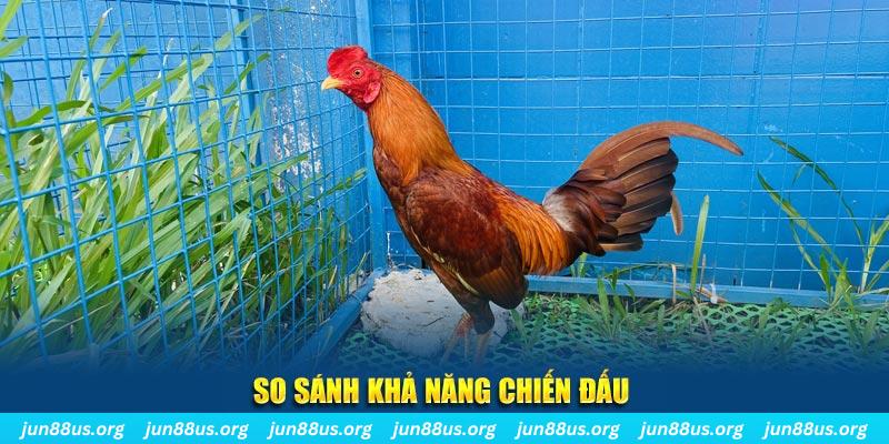 kubet link xổ số tiền giang