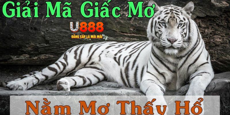 kubet link xổ số kiến thiết miền bắc
