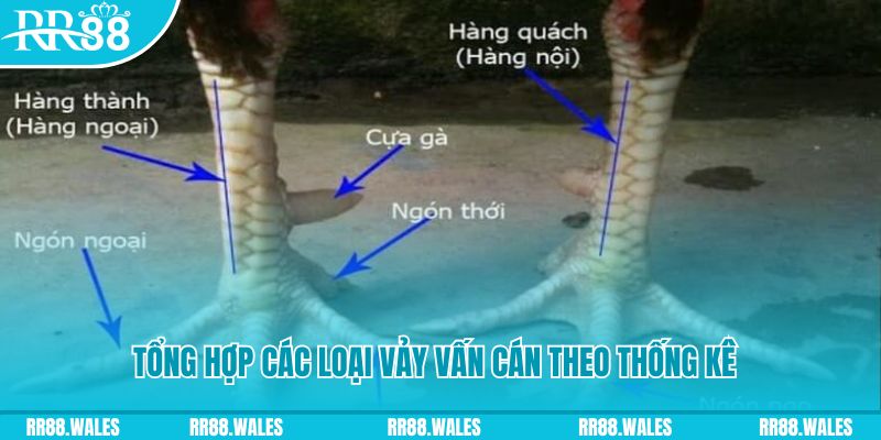 kubet link nổ hũ chơi như thế nào