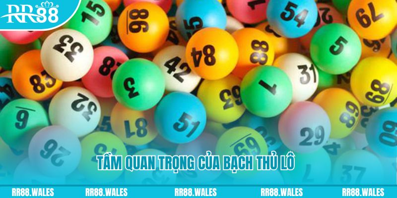kubet link đá gà trực tiếp casino
