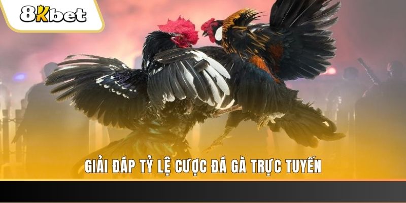 kubet link xổ số ba đài