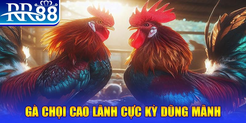 kubet link natural” trong baccarat nghĩa là gì？